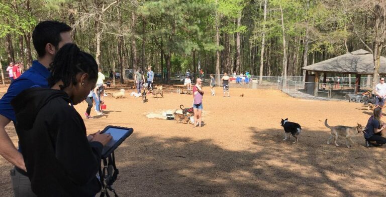 Raleigh Dog Parks: Community engagement software combines offline and online efforts