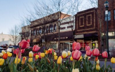 How Hendersonville, NC Built Relationships and Engaged Over 3K Residents