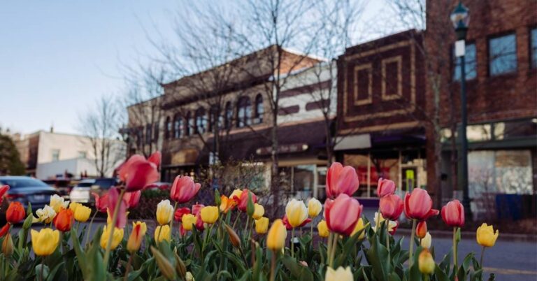 How Hendersonville, NC Built Relationships and Engaged Over 3K Residents