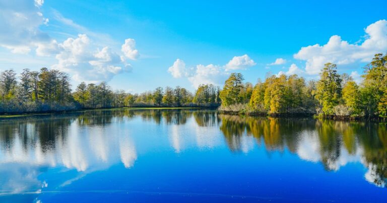 Hillsborough County, FL: Scalable Community Engagement for Disaster Recovery